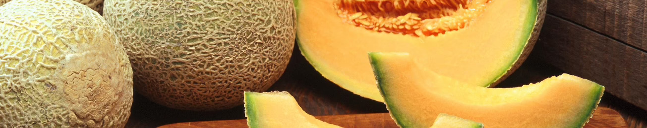 Informe 2016 del sector de melón y sandía en España