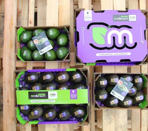 Tropical Millenium invierte en instalaciones y crece en ventas