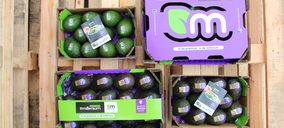 Tropical Millenium invierte en instalaciones y crece en ventas