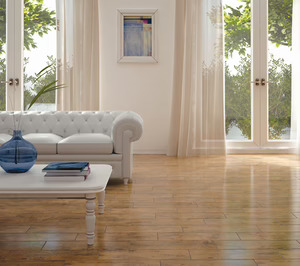 Azuliber invertirá 6 M este año