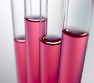 Fuerte crecimiento en las ventas de Ernesto Ventós