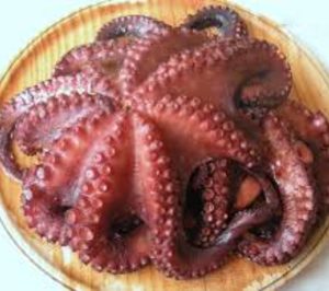 Canosa retoma el proyecto de  ampliación de su capacidad de almacenamiento