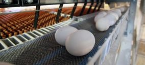 Proegg mira más allá de Estados Unidos