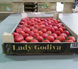 Hispalco presenta sus nuevas marcas