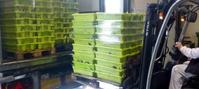 Frigorífica Botana empieza a comercializar pescado fresco