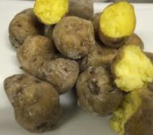 Maxorata distribuirá productos gourmet canarios en la península