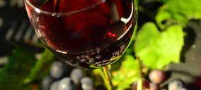 Bodegas Castelo de Medina cambia de manos