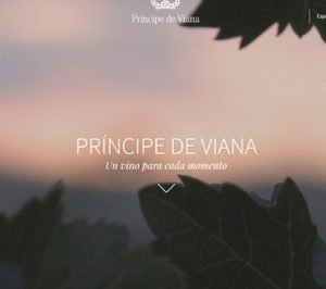 Nueva web del grupo Príncipe de Viana