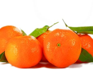 Pla Faus elevará sus ventas e invertirá en instalaciones