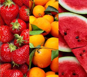 Fruitbull renueva su plataforma digital