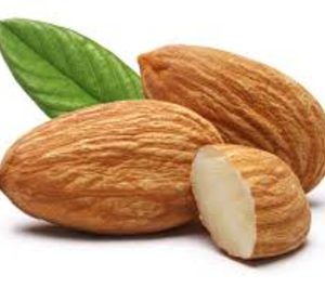 Almendras Llopis focaliza sus inversiones en capacidad y almacenamiento