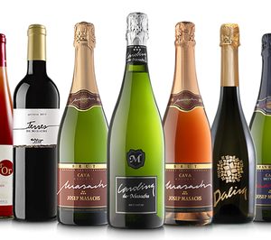 Josep Masachs sigue invirtiendo y consolida una larga etapa de crecimiento