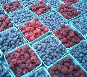 Agrocongelados La Cuerva ampliará su planta