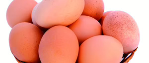 Informe 2016 del sector de huevos