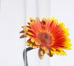 Repsol ya tiene marca para su nueva gama de PE metaloceno