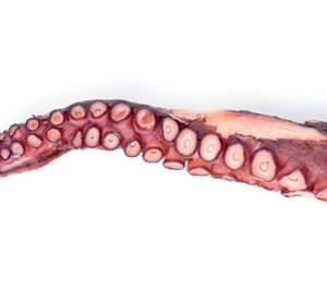 Fesba refuerza su capacidad en temperatura negativa