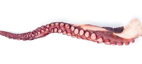 Fesba refuerza su capacidad en temperatura negativa