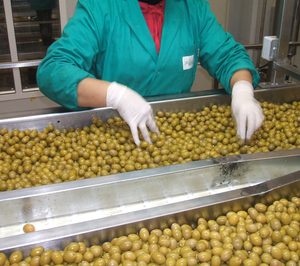 Dcoop avanza en aceituna y vino y concita interés en Acorex