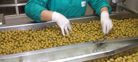 Dcoop avanza en aceituna y vino y concita interés en Acorex