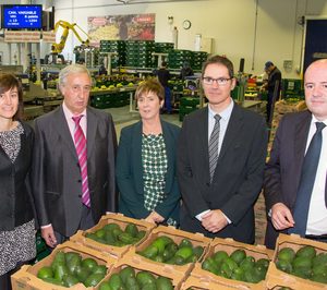 Comienzan las obras de la planta de IV gama de Fribasa