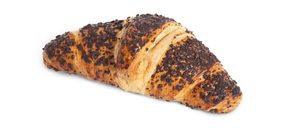 Pastisart continúa trabajando en la automatización de Roda de Berà