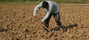 Bayer presenta el nematicida Velum Prime