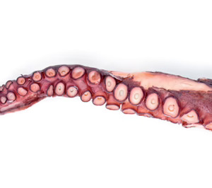 El capital riesgo se hace con el 100% de la especialista en pulpo Discefa