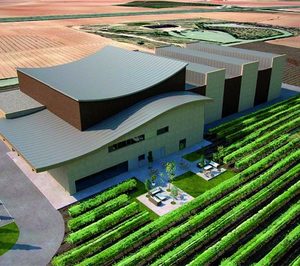 Viñedos de Aldeanueva invierte por valor de 6 M€