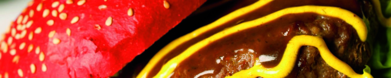 Informe de Hamburguesas Premium en España 2016