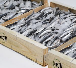 Los envases de madera para pescado ganan reconocimiento internacional