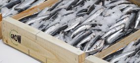 Los envases de madera para pescado ganan reconocimiento internacional