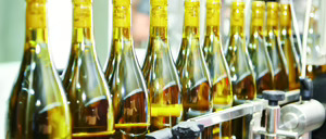 Informe 2016 del sector de Etiquetas Industriales