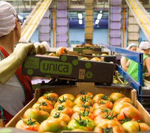 Única Group supera sus expectativas de producción