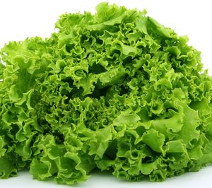 Arkadia Food reorganiza su negocio exterior