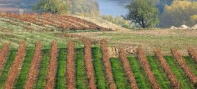 Sierra Cantabria compra las instalaciones de Bodegas Vélez