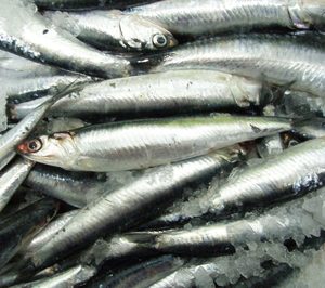 Pescados Llorente, lista para su expansión en bandejas ATM