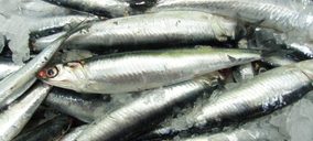 Pescados Llorente, lista para su expansión en bandejas ATM