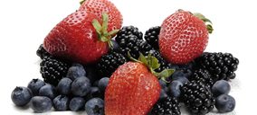 Sube la producción y facturación del sector fresero en la última campaña