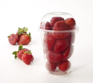 Nupik Internacional prevé seguir creciendo y aumenta inversiones