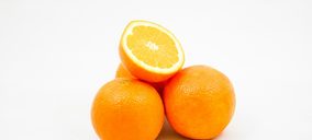 Bagu incorpora una nueva nave de manipulación y envasado