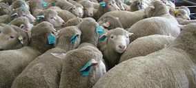 El matadero de ovino de Andorra cesa actividad