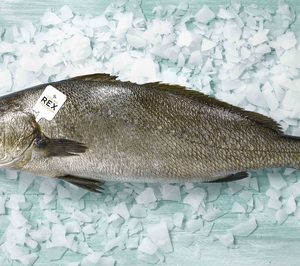 Frescamar lanza su propia marca de corvina