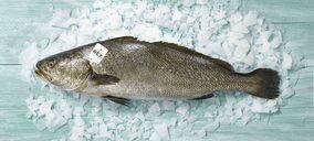 Frescamar lanza su propia marca de corvina