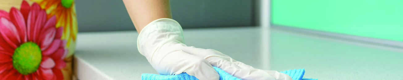 Informe 2016 sobre Limpiadores en España