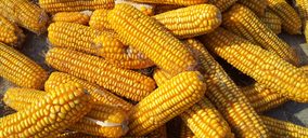 Inversiones Sinfín Agrícola se declara en concurso