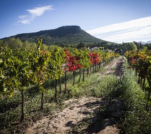 Fermí Bohigas apuesta por los vinos y cavas de alta gama