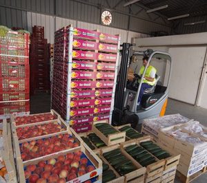 La venta de frutas y hortalizas en Mercabarna creció en el primer semestre