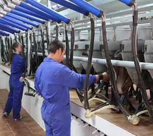 Dcoop entrará en el mercado lácteo con yogur de leche de cabra