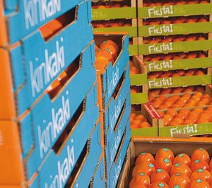 Exquisite Fruits apuesta por el mercado de Oriente Medio y nacional