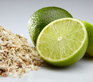 Ceamsa afianza su crecimiento con un potente plan inversor